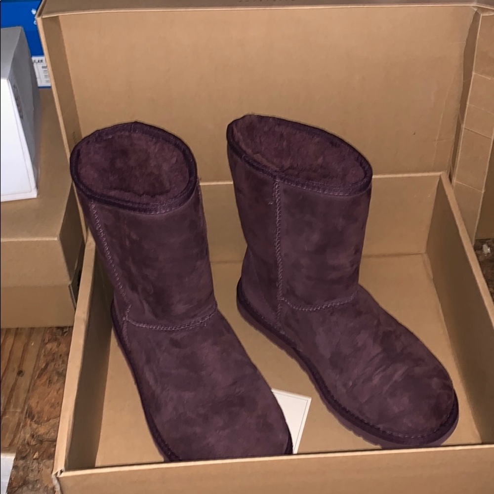 eggplant uggs